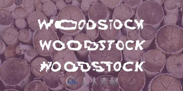 平面设计--Woodstock锯木厂视觉设计