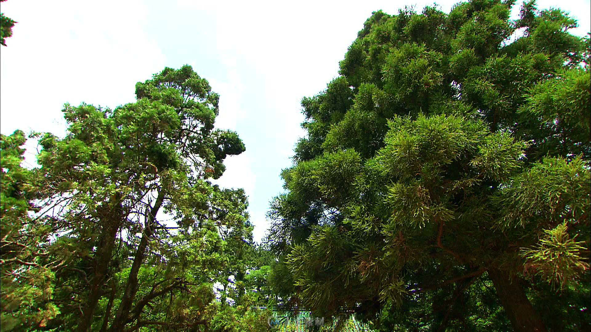 庐山大天池风光视频素材