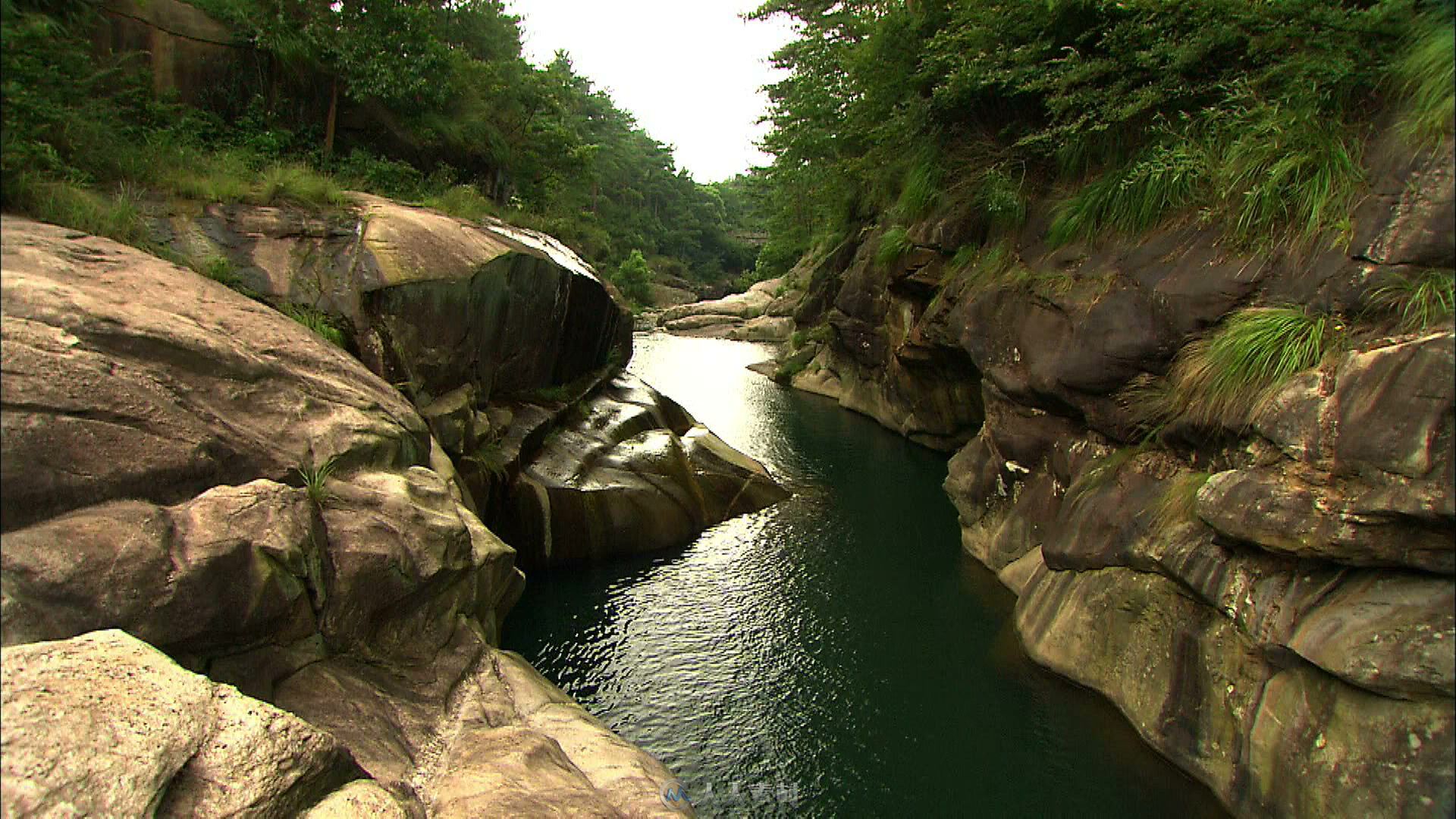 庐山清澈的山泉溪流视频素材