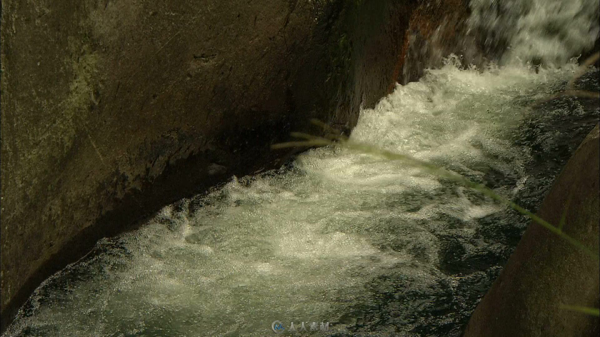 庐山清澈的山泉溪流视频素材