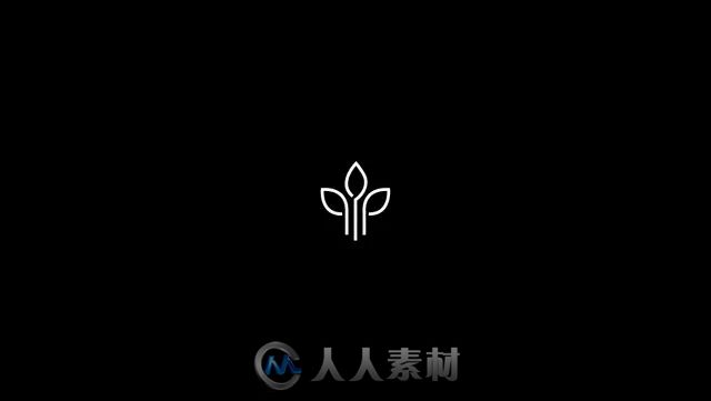 精美的黑白风格logo设计作品