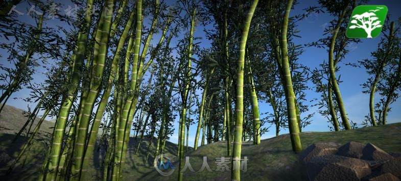 高质量的竹树包植物模型Unity3D素材资源