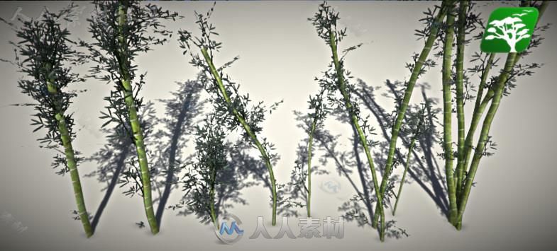 高质量的竹树包植物模型Unity3D素材资源