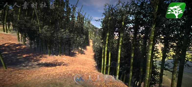 高质量的竹树包植物模型Unity3D素材资源