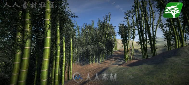 高质量的竹树包植物模型Unity3D素材资源