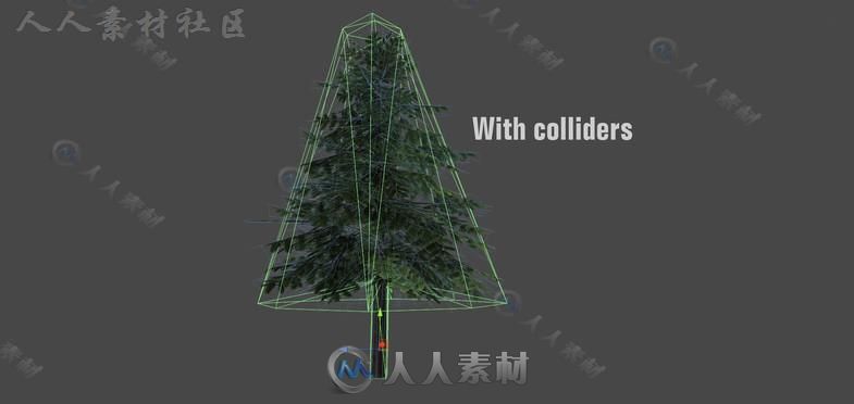详细的松树植物模型Unity3D素材资源