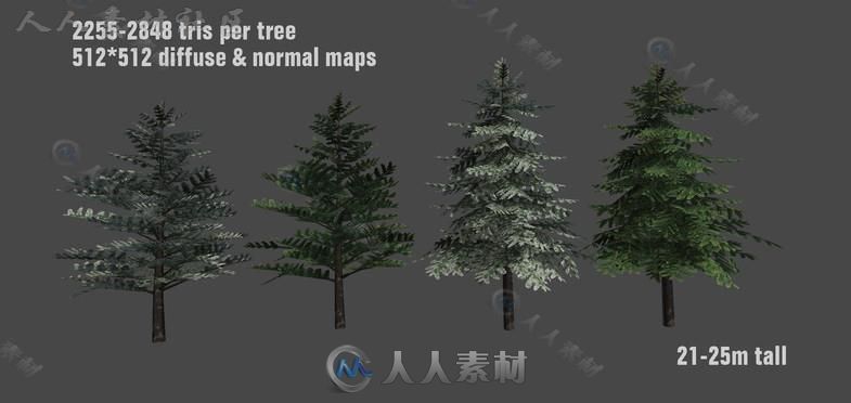 详细的松树植物模型Unity3D素材资源