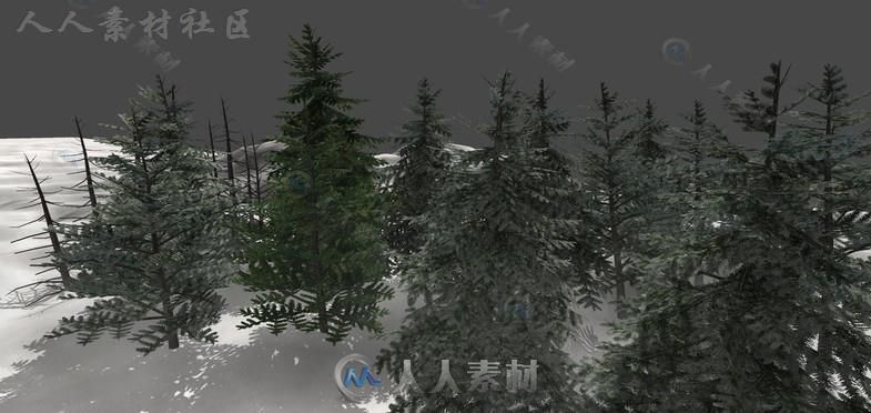 详细的松树植物模型Unity3D素材资源