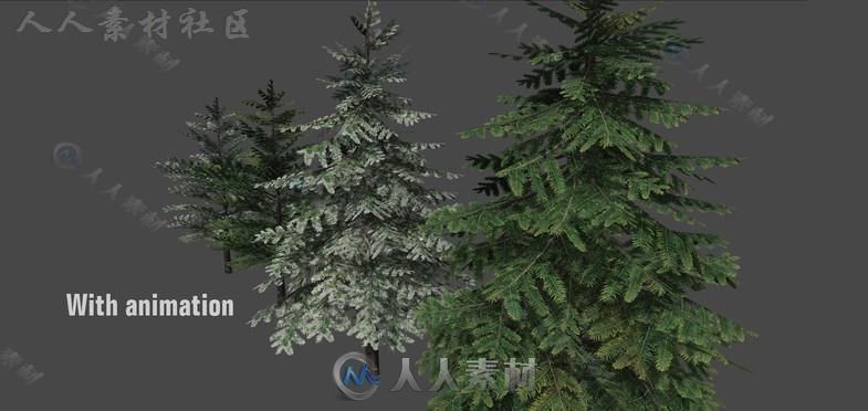 详细的松树植物模型Unity3D素材资源