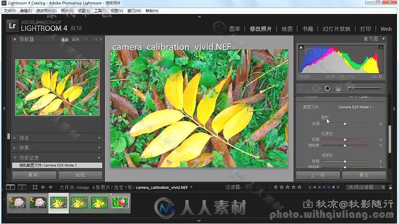 Lightroom4 中文基础视频教程 全集77下载