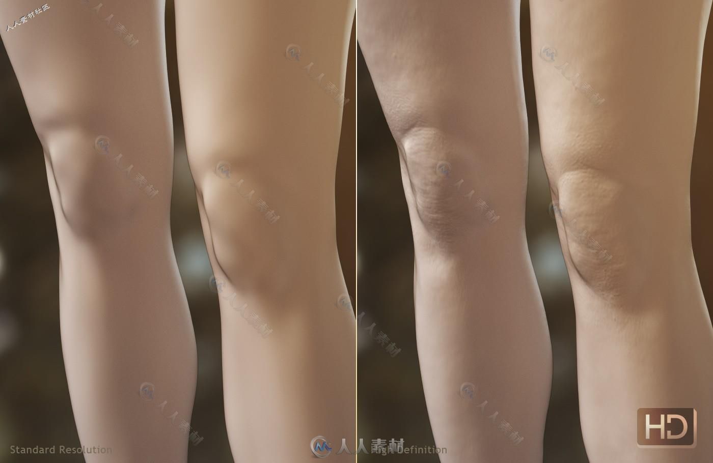 DAZ3D高精度女性身体参考3D模型合辑