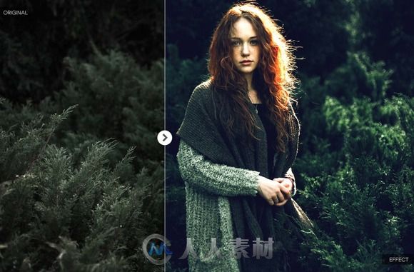 森林照片调色PS动作INTO THE JUNGLE PHOTOSHOP ACTIONS