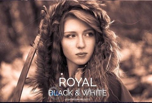 皇家风格黑白lightroom预设Royal Black &amp; White Lightroom Presets