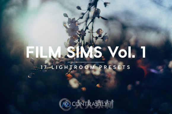 750款增强表现lightroom预设合辑750 Pro Lightroom Presets Bundle