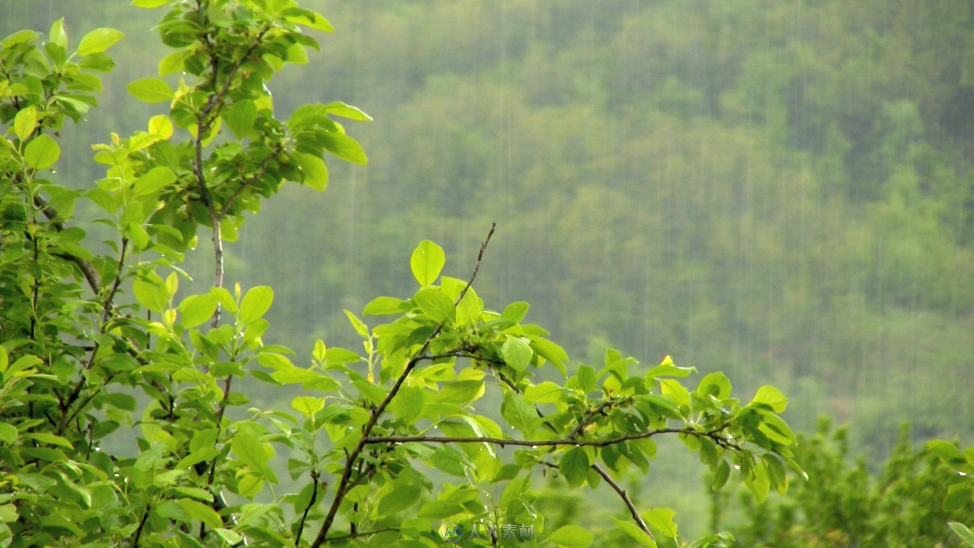 山里下雨实拍视频素材