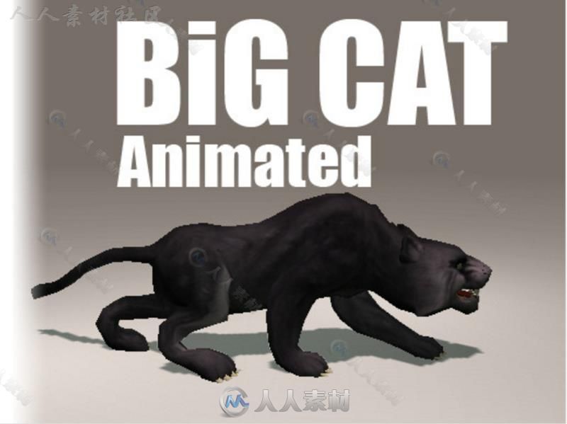 动画大猫哺乳动物角色模型Unity3D素材资源