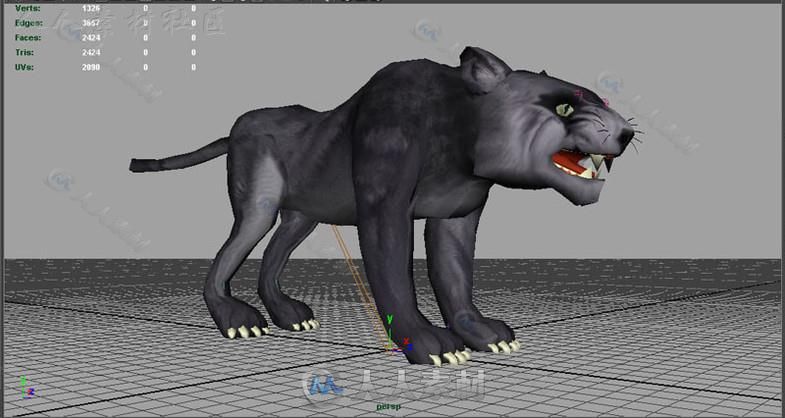 动画大猫哺乳动物角色模型Unity3D素材资源