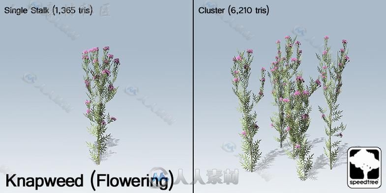 桌面地面封装SpeedTree&#174;植物模型Unity3D素材资源