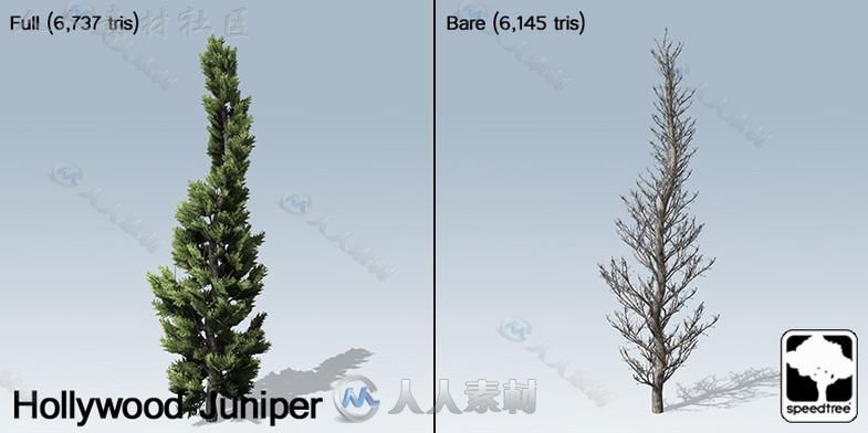 桌面地面封装SpeedTree&#174;植物模型Unity3D素材资源