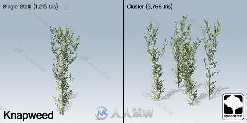 桌面地面封装SpeedTree&#174;植物模型Unity3D素材资源