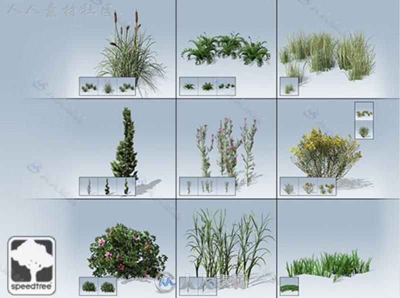 桌面地面封装SpeedTree&#174;植物模型Unity3D素材资源