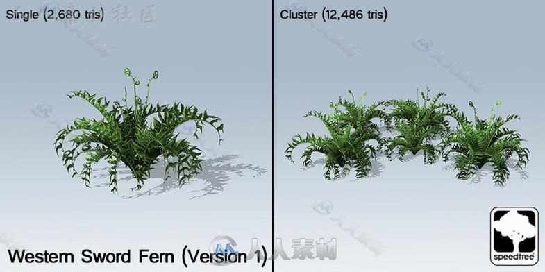 桌面地面封装SpeedTree&#174;植物模型Unity3D素材资源