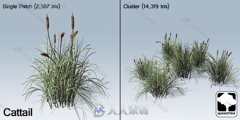 桌面地面封装SpeedTree&#174;植物模型Unity3D素材资源