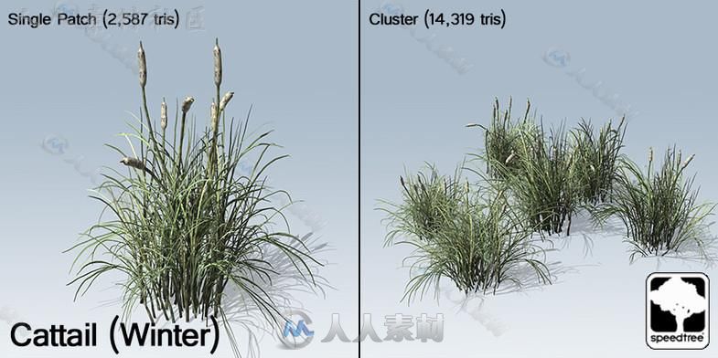 桌面地面封装SpeedTree&#174;植物模型Unity3D素材资源