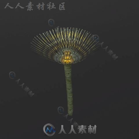 美丽和五颜六色的珊瑚环境模型Unity3D素材资源