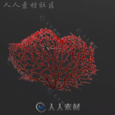 美丽和五颜六色的珊瑚环境模型Unity3D素材资源