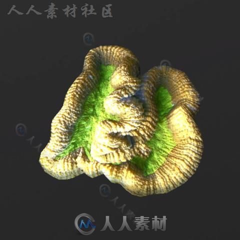 美丽和五颜六色的珊瑚环境模型Unity3D素材资源