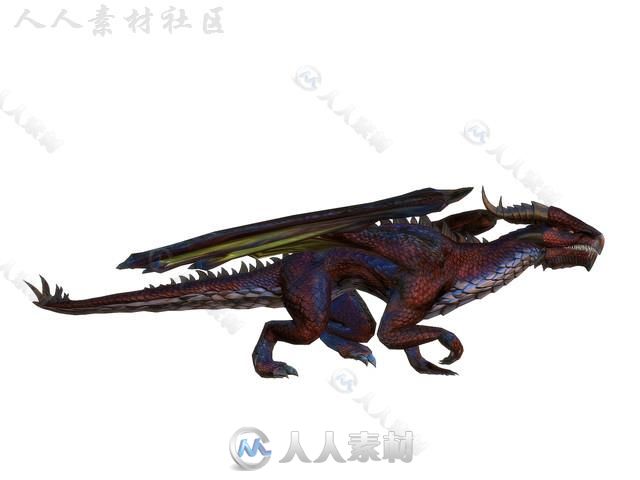 幻想飞龙生物角色3D模型Unity素材资源