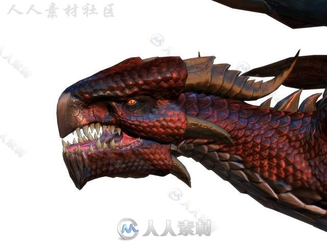 幻想飞龙生物角色3D模型Unity素材资源