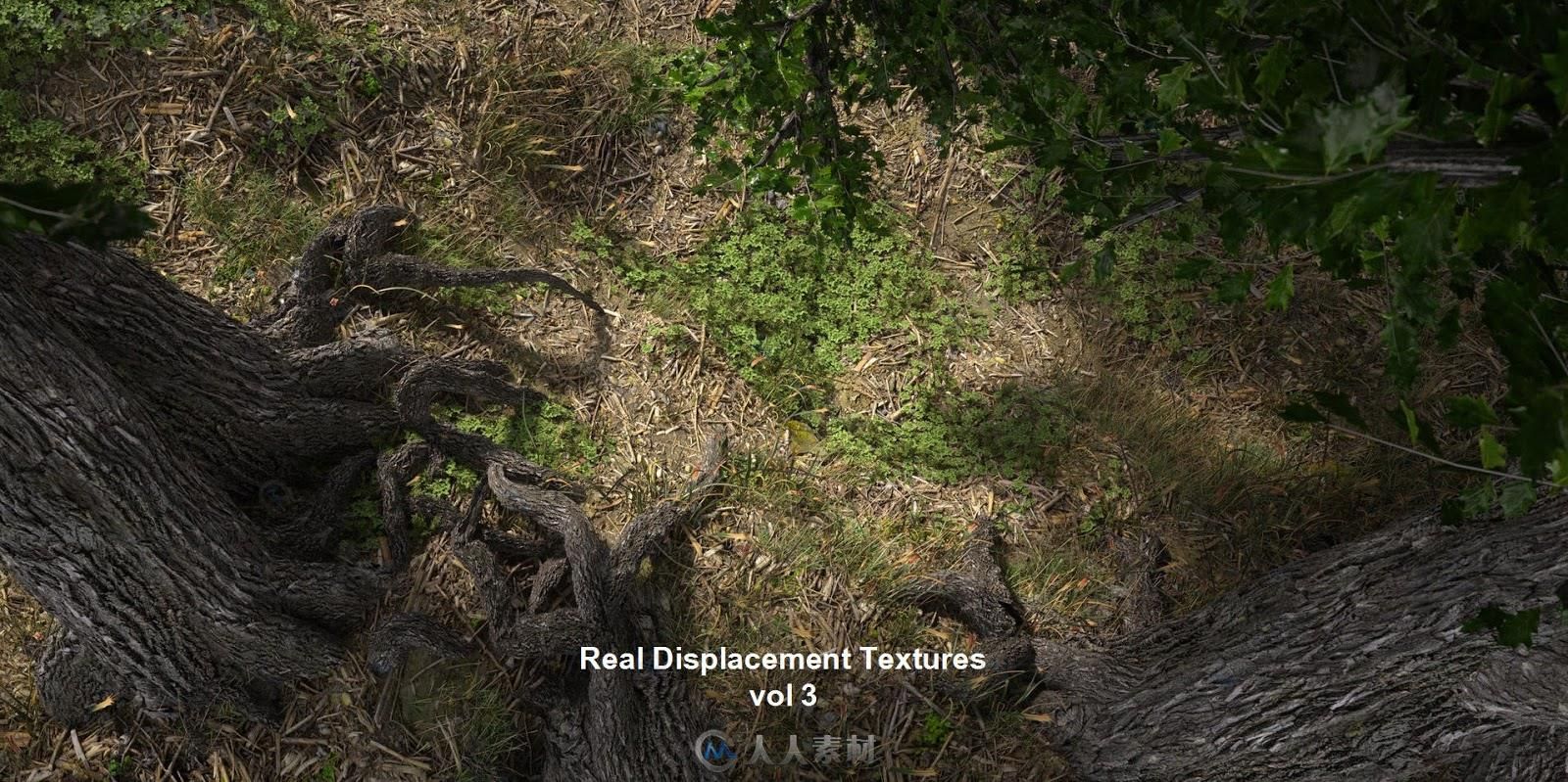 超高精度植物树木4K8K贴图合辑 REAL DISPLACEMENT TEXTURES VOLUME THREE