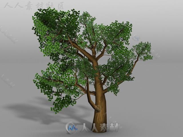 冒险家幻想村庄3D模型Unity游戏素材资源