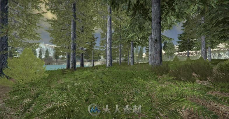 高山树林场景环境3D模型Unity游戏素材资源