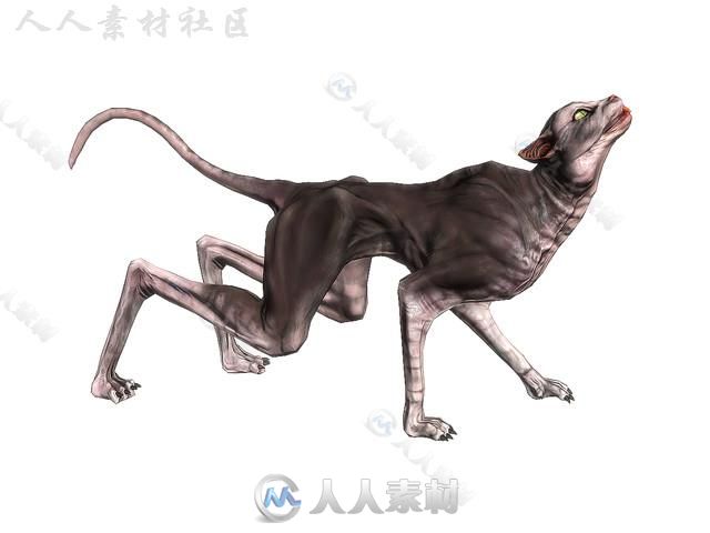 恐怖的恶魔猫生物角色3D模型Unity游戏素材资源