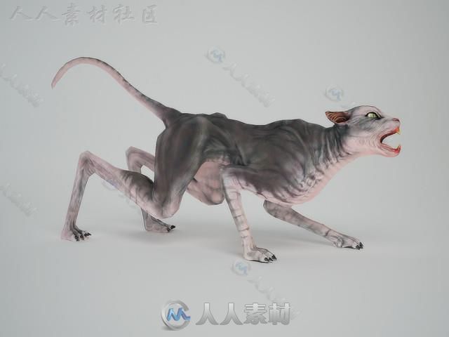 恐怖的恶魔猫生物角色3D模型Unity游戏素材资源