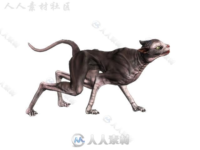 恐怖的恶魔猫生物角色3D模型Unity游戏素材资源