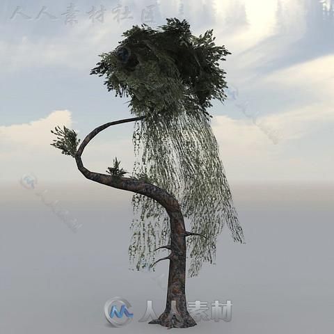 独特的幻想树植物3D模型Unity游戏素材资源