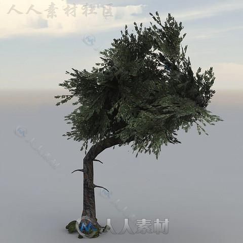 独特的幻想树植物3D模型Unity游戏素材资源