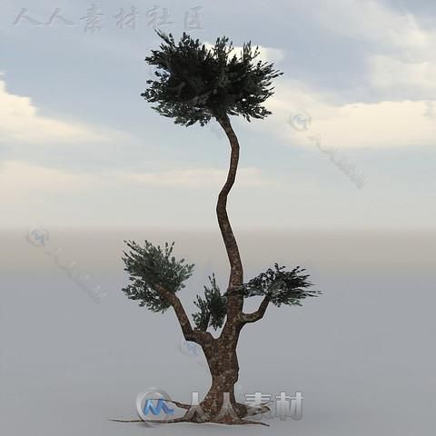 独特的幻想树植物3D模型Unity游戏素材资源