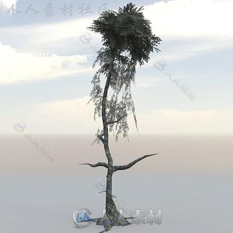 独特的幻想树植物3D模型Unity游戏素材资源