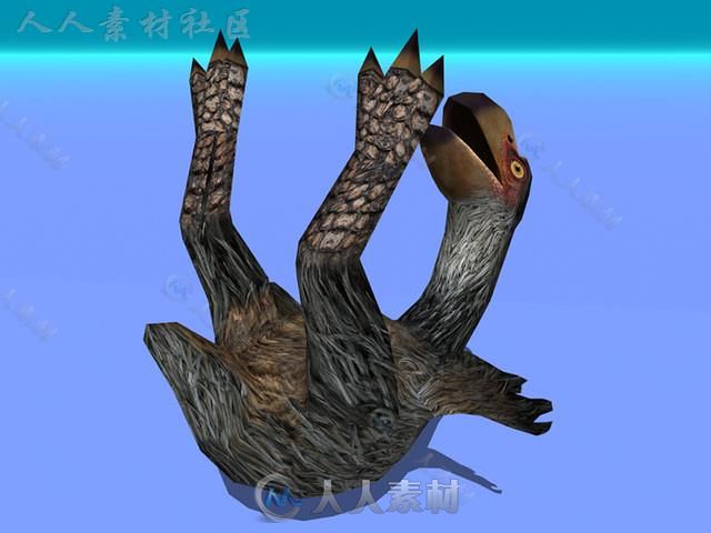 史前生物不会飞的鸟生物角色3D模型Unity游戏素材资源