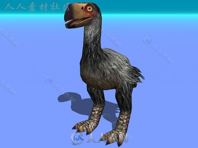 史前生物不会飞的鸟生物角色3D模型Unity游戏素材资源