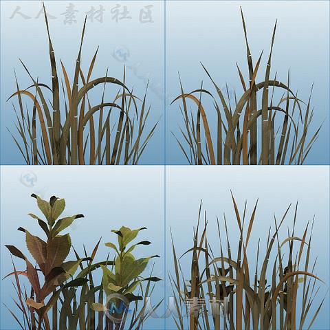 完美的草纹理植物3D模型Unity游戏素材资源