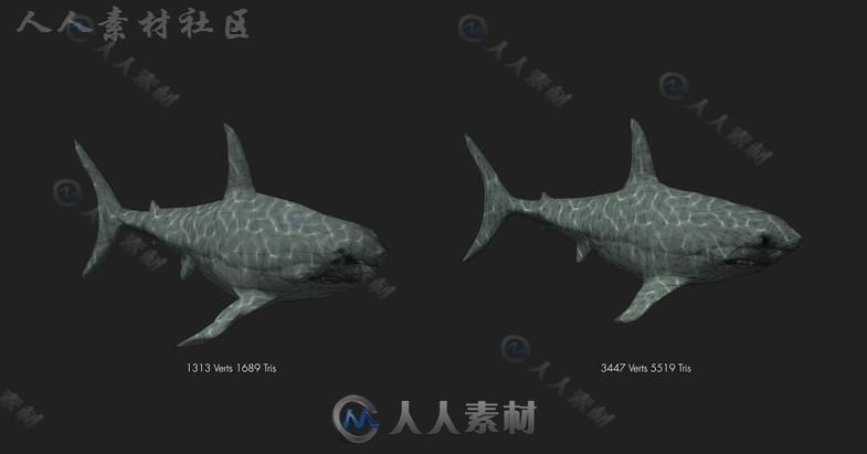 凶猛的大白鲨鱼类动物角色3D模型Unity游戏素材资源