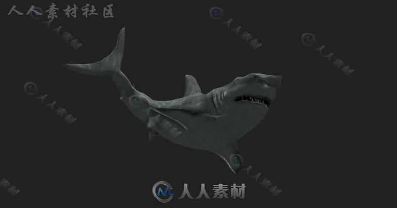 凶猛的大白鲨鱼类动物角色3D模型Unity游戏素材资源