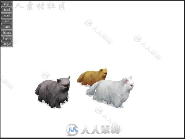 美丽可爱的宠物猫哺乳动物动物角色3D模型