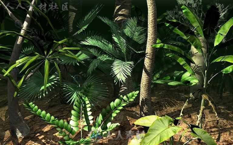 独特的热带植被植物3D模型Unity游戏素材资源